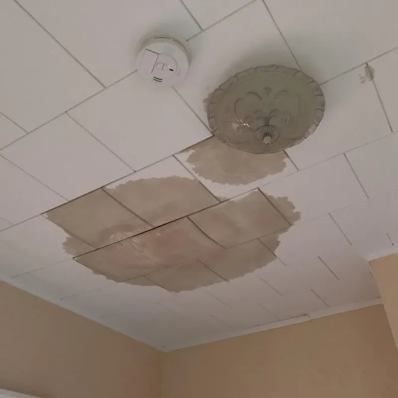 Ceiling Water Damage Repair in City of Emporia, VA