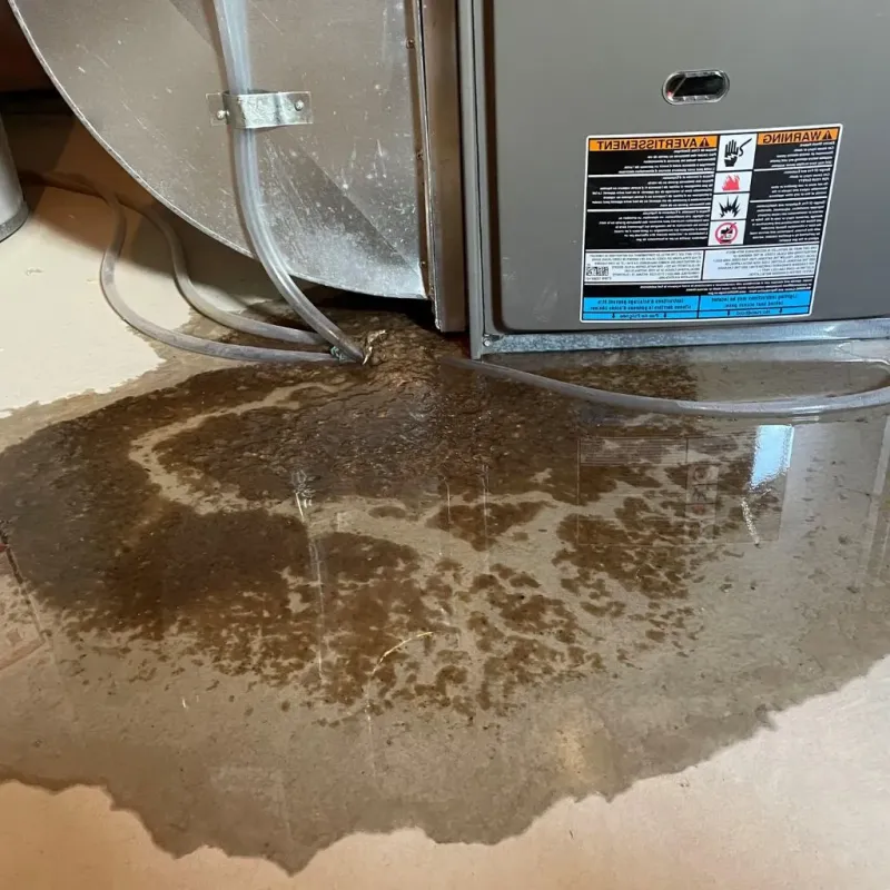 Pipe Burst and Leak Restoration in City of Emporia, VA