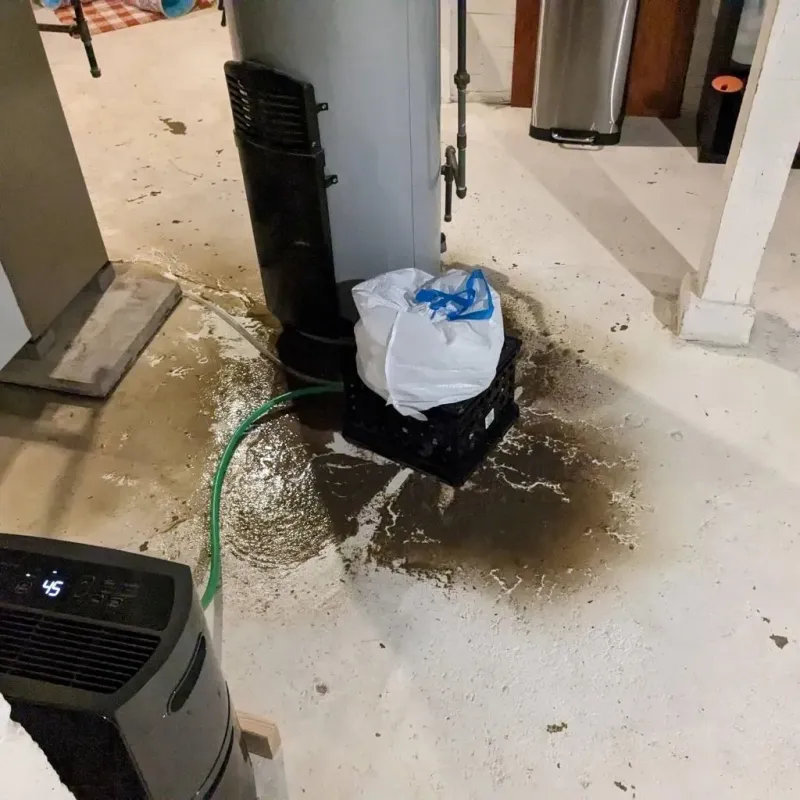 Sewage Backup Cleanup Service in City of Emporia, VA